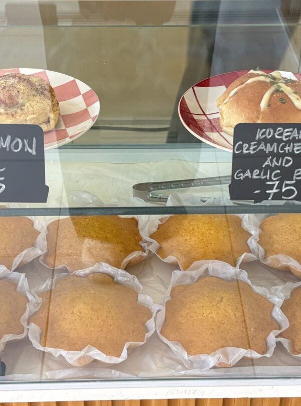 649210464 1335596948589144 9162355701943228375 n