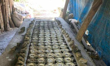 664c5fb8 d368 4307 804b 809d34ba59eb