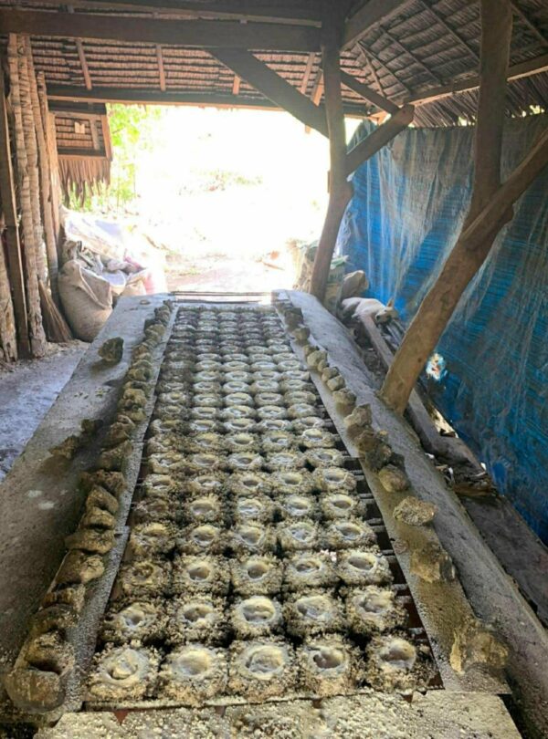 664c5fb8 d368 4307 804b 809d34ba59eb