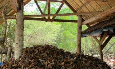 6db6e9cb d40e 4f94 aa81 fe363d1d4239