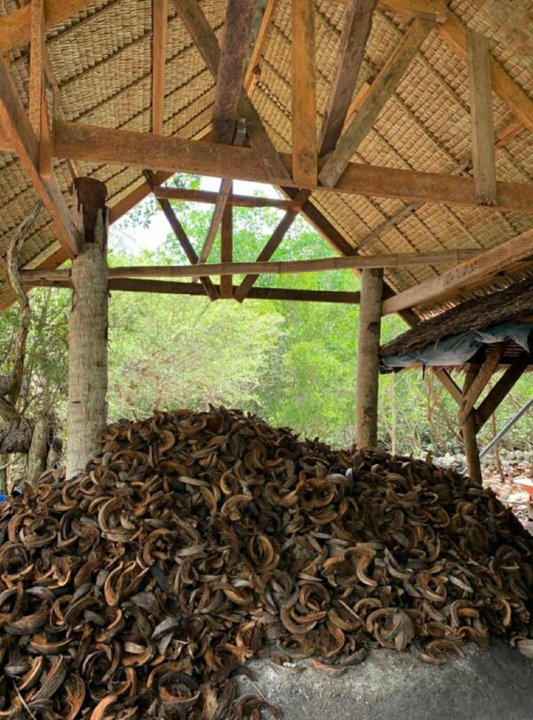 6db6e9cb d40e 4f94 aa81 fe363d1d4239