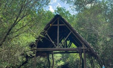 9ff3cf95 dfeb 4011 a3da 172155d43703