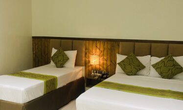 copy of standard double (1db,1sb) maxi hotel