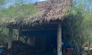 e5a44c6a e795 4086 8308 944983309abf