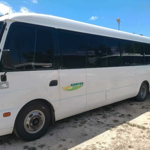 copy of b243dd42 7311 4079 bc28 af954e00adfd