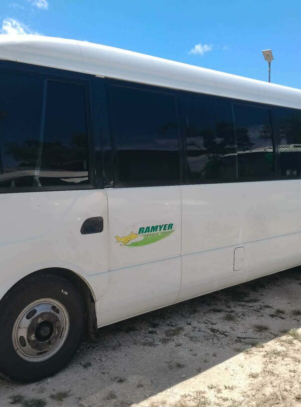 copy of b243dd42 7311 4079 bc28 af954e00adfd