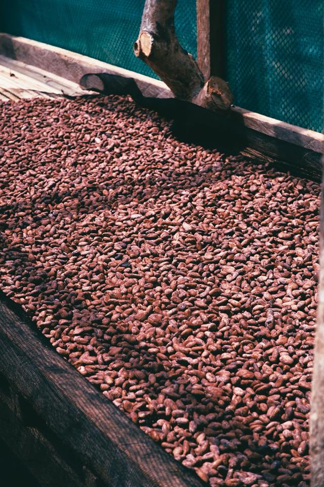 created with rni films app. profile 'fuji superia 400 v.2'