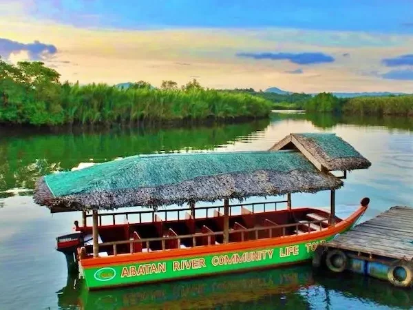 copy of bohol abatan river firefly cruise dot 003