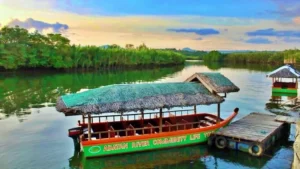 copy of bohol abatan river firefly cruise dot 003