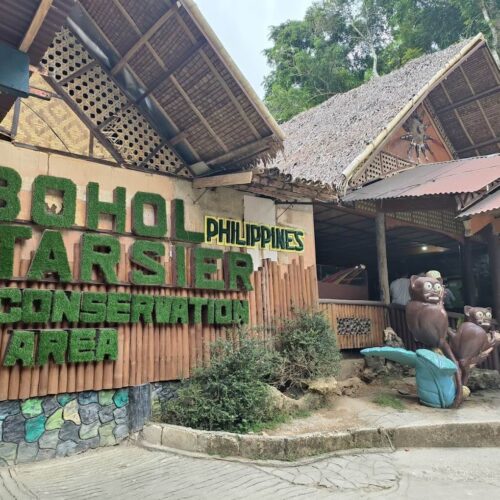 copy of bohol tarsier conservation area 4324