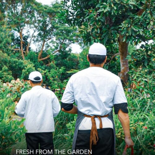 copy of fresh foods