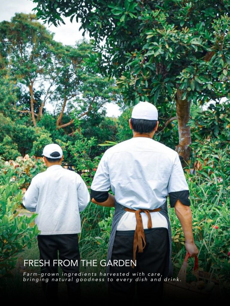 copy of fresh foods
