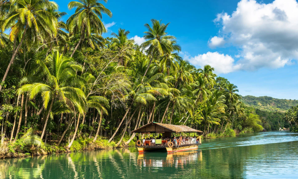 copy of loboc cruise