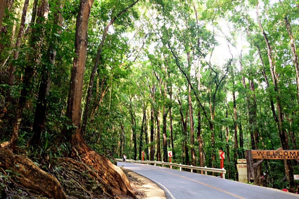 copy of man made forest bilar