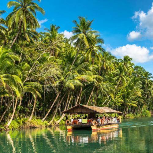copy of loboc cruise